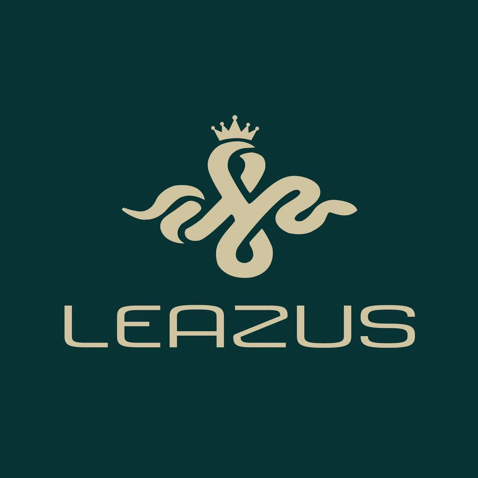 LEAZUS.IMG